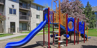 Woodland Park Gallery 10