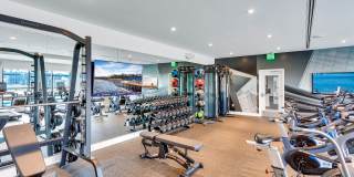 The Fitzgerald Gallery 22