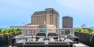 The Scholar The Scholar Gallery 9