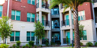 Varela Westshore Gallery 46