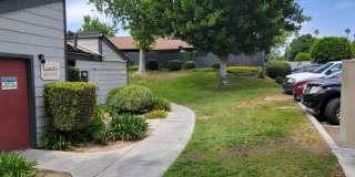 Dove Ridge Gallery 8