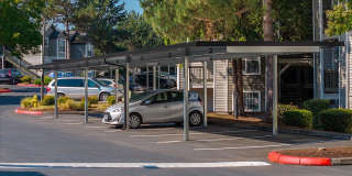 Avana Birch Pointe Gallery 35