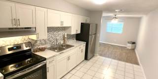 Orleans Apartments Gallery 4