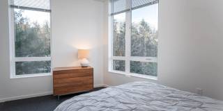 TreeHouse Gallery 11