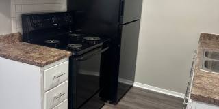 Black Pine Flats Gallery 31