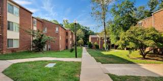 Aspen at Lake Trail Gallery 35