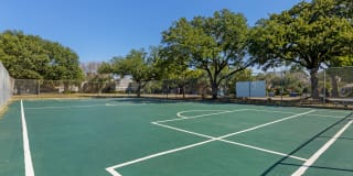 Valley Oaks Gallery 16