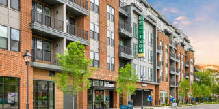 Ellison Museum District Gallery 44