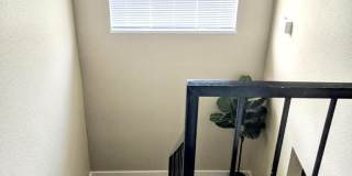 259 North Chester Avenue Gallery 8