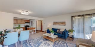 Hillsborough Apartments Gallery 22