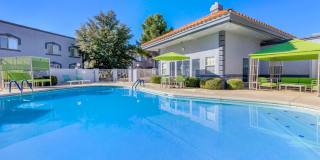 The Palisades Gallery 16