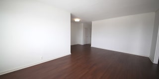 Dorchester Gallery 29