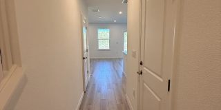 3346 Thicket St Gallery 1