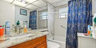 52 Saxony B Gallery 11