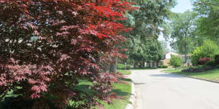 Forest Glen Gallery 20