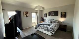 2434 Dry Moss Gallery 31