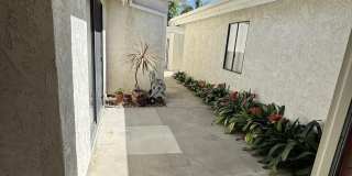 4328 Forest Oaks Drive Gallery 3