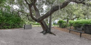 Arbor Trace Gallery 22