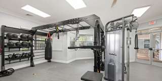 Courtney Ridge Gallery 21