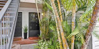 7809 NIAGARA AVENUE Gallery 2