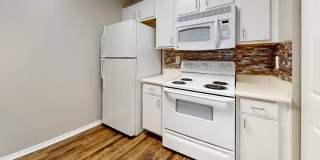 Ivy Hollow Gallery 3