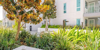 The Royce Gallery 68