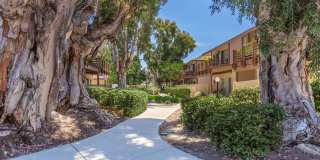Cypress Pines Apartment Homes Gallery 7