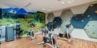 Beacon 85 Gallery 12