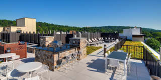 Valley and Bloom Gallery 9