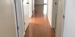 7800 N Nicole Place Gallery 32