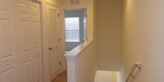 Gated Fishhawk Townhome! Gated Fishhawk Townhome! Gallery 13