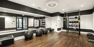 Indigo Stuart Gallery 28