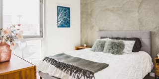 Blossom Plaza Gallery 6