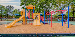 Ellevate North Charleston Gallery 25