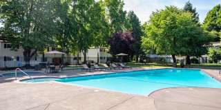 Aspire Eugene Gallery 15