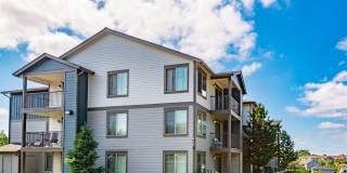 Four Lakes Gallery 27