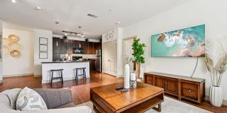 Andante at Nine Mile Station Gallery 19