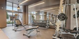 Avida Aventura Gallery 4