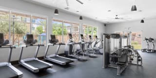 Ocio Plaza del Rio Gallery 21