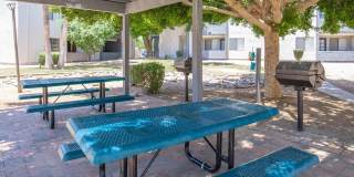 Rise Desert Cove Gallery 62