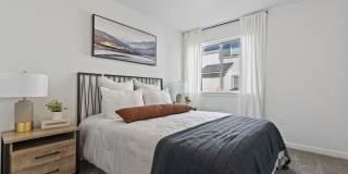 Amazon Falls Gallery 24