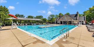 3907 BRAVEHEART Circle Gallery 68