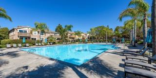 Serenity and Luxury Abound in Eastlake! Gallery 41