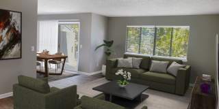 Willow Trail Gallery 5