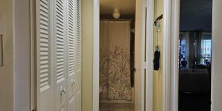 6017 Coral Lake Drive Gallery 12