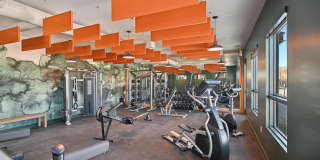 Linden Hill Gallery 40