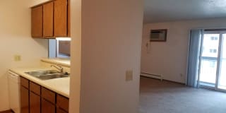 Prairie Tree Gallery 1