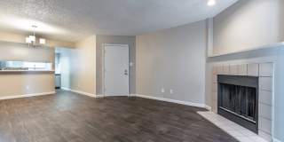 Rise on Cactus Gallery 63