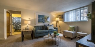 Brattle Drive Gallery 2