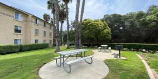 Sunny Creek Gallery 26